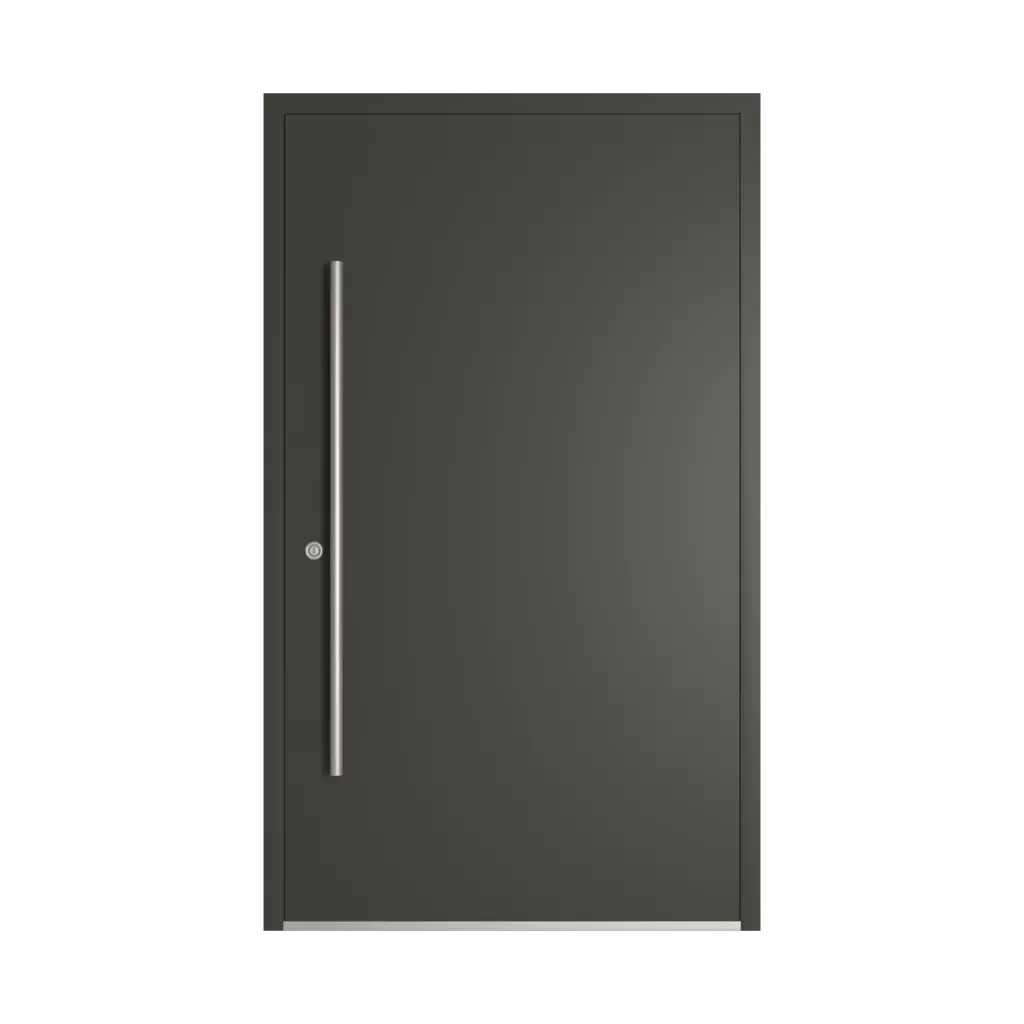 RAL 6015 Black olive entry-doors models-of-door-fillings wood without-glazing