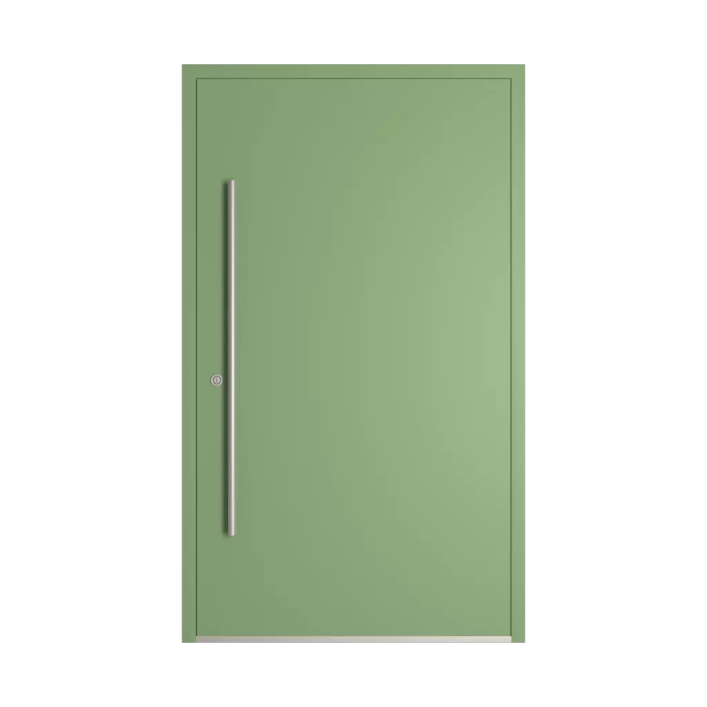 RAL 6021 Pale green entry-doors models-of-door-fillings wood without-glazing