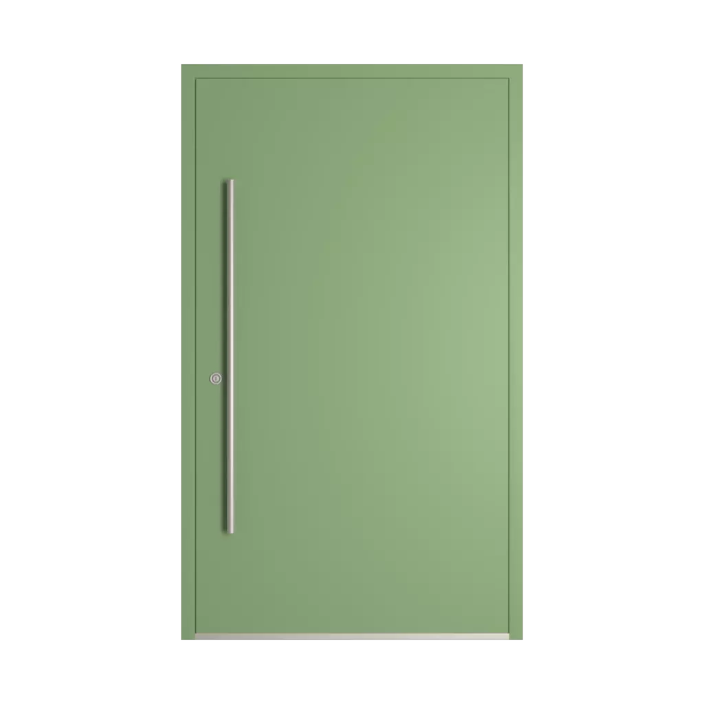 RAL 6021 Pale green entry-doors models dindecor 6132-black  