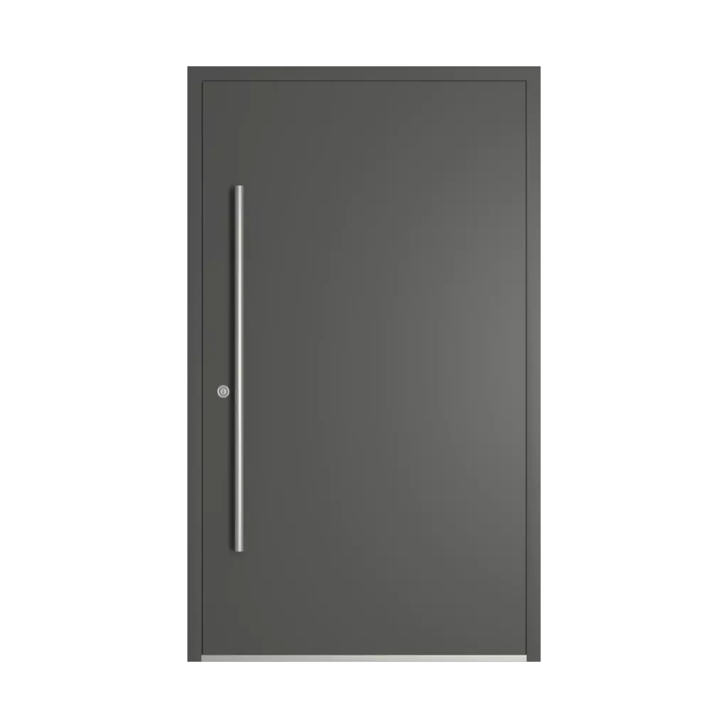 RAL 7043 Traffic grey B entry-doors models dindecor model-5041  