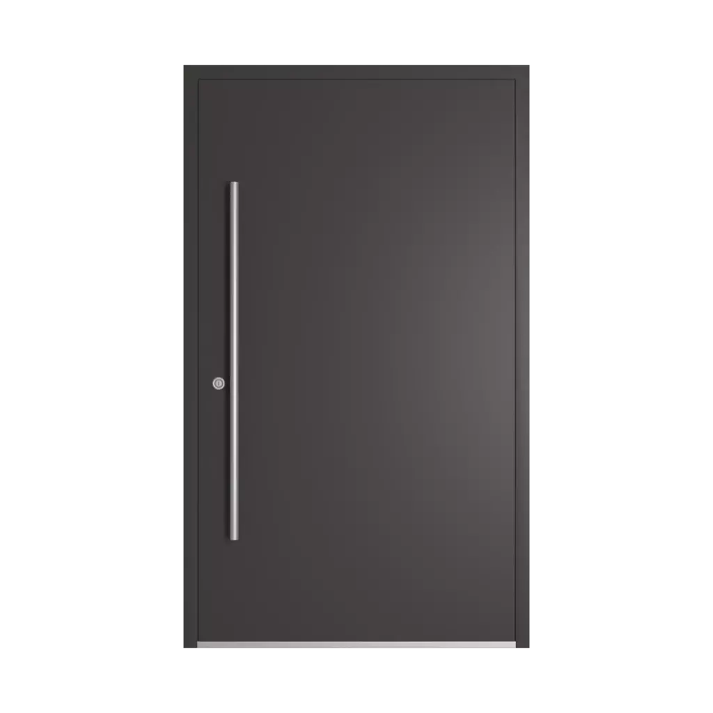RAL 8019 Grey brown entry-doors models-of-door-fillings aluminum glazed