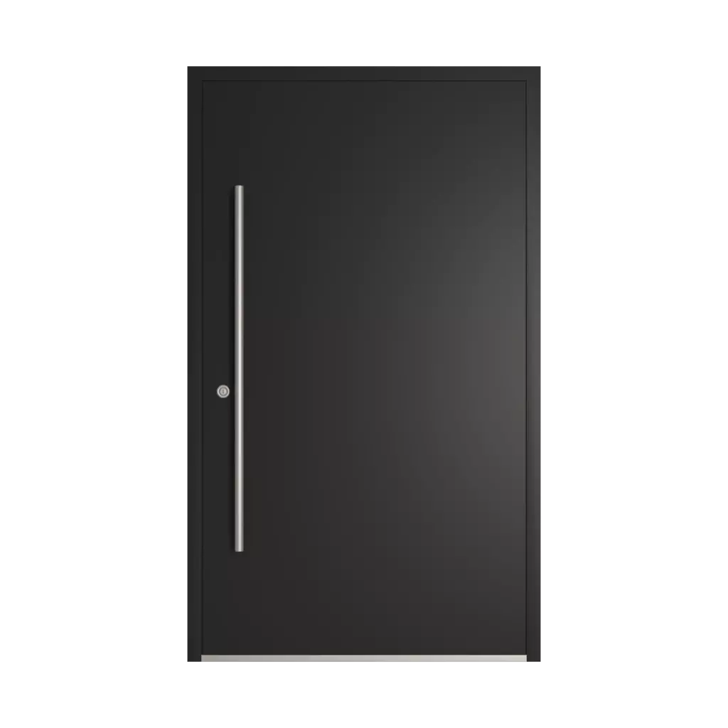 RAL 8022 Black brown entry-doors models-of-door-fillings wood without-glazing