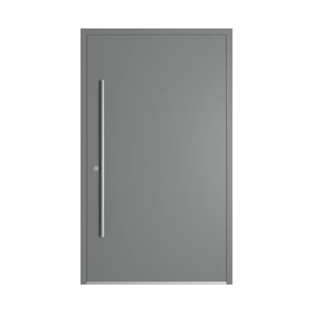 RAL 9023 Pearl dark grey entry-doors models-of-door-fillings aluminum glazed