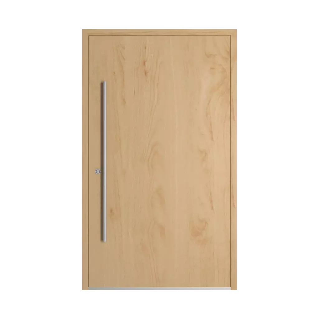 Birch entry-doors models dindecor sl01  