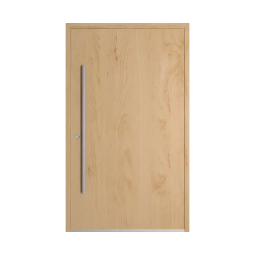 Birch entry-doors models dindecor 6024-pvc  