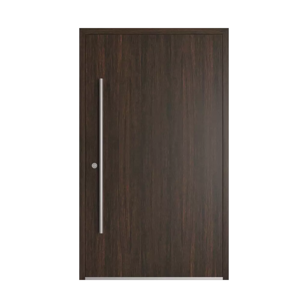 Dark oak entry-doors models dindecor sl01  