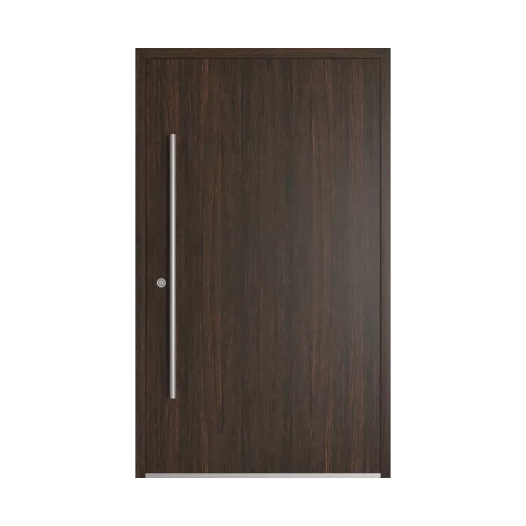 Dark oak entry-doors models dindecor rl09  