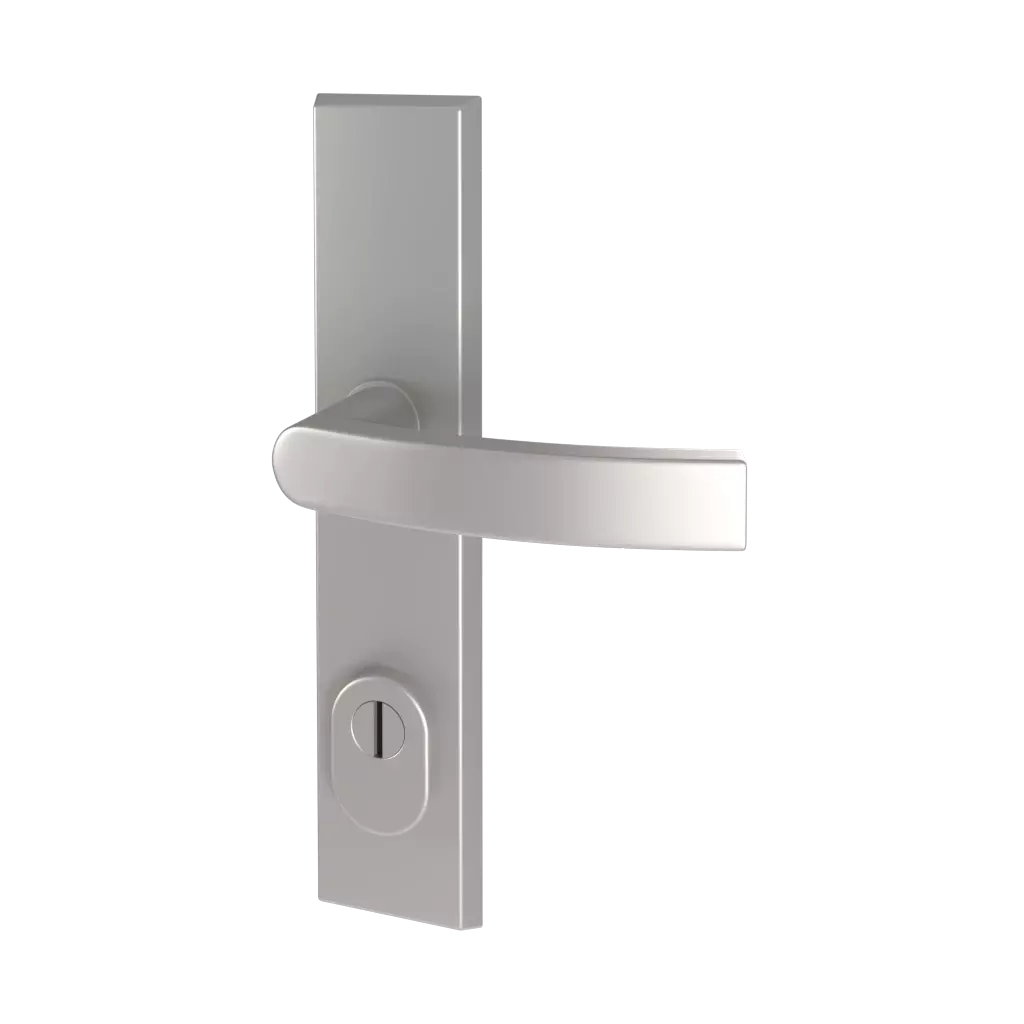Odin ✨ entry-doors opening-method handle-handle  