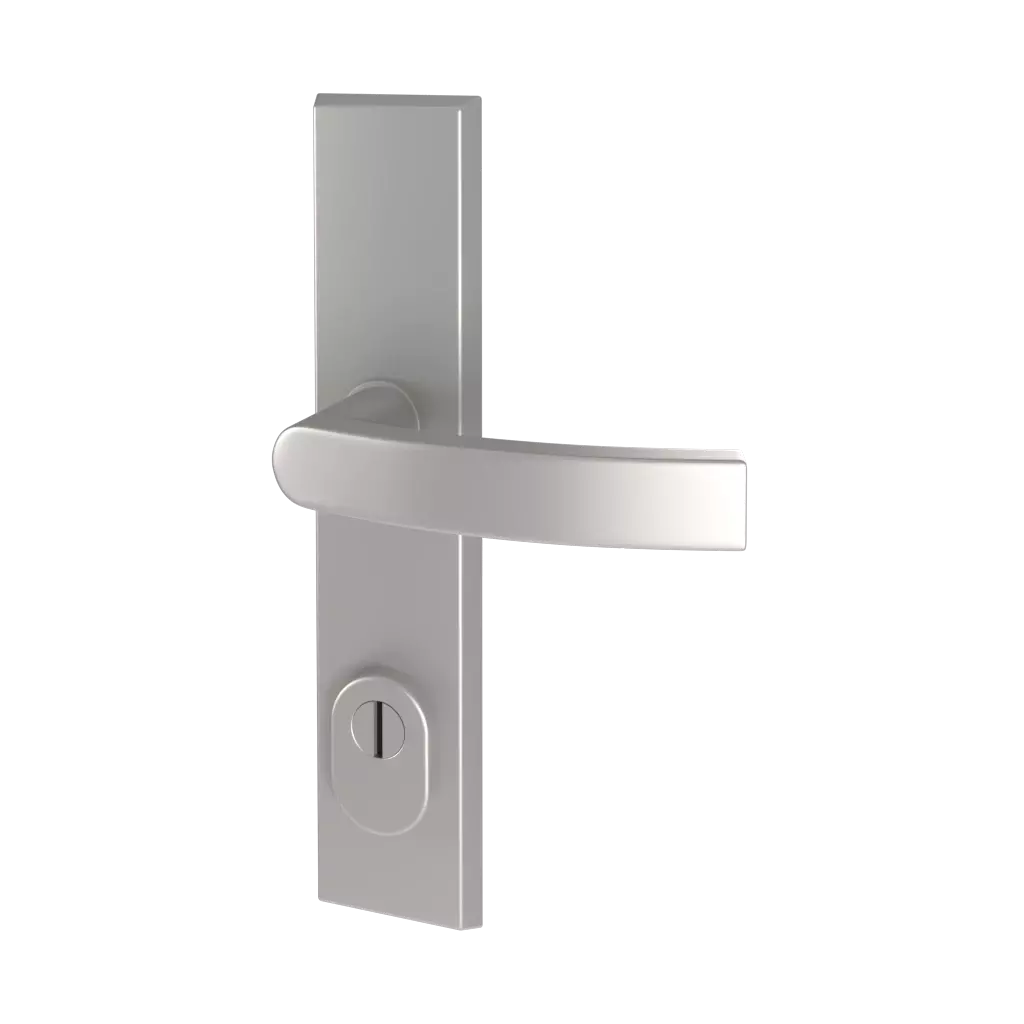 Handles entry-doors door-accessories    