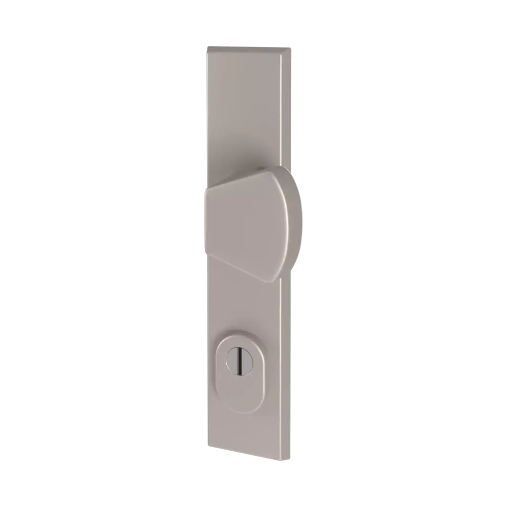 Stainless steel F6 entry-doors door-accessories door-knobs odin 