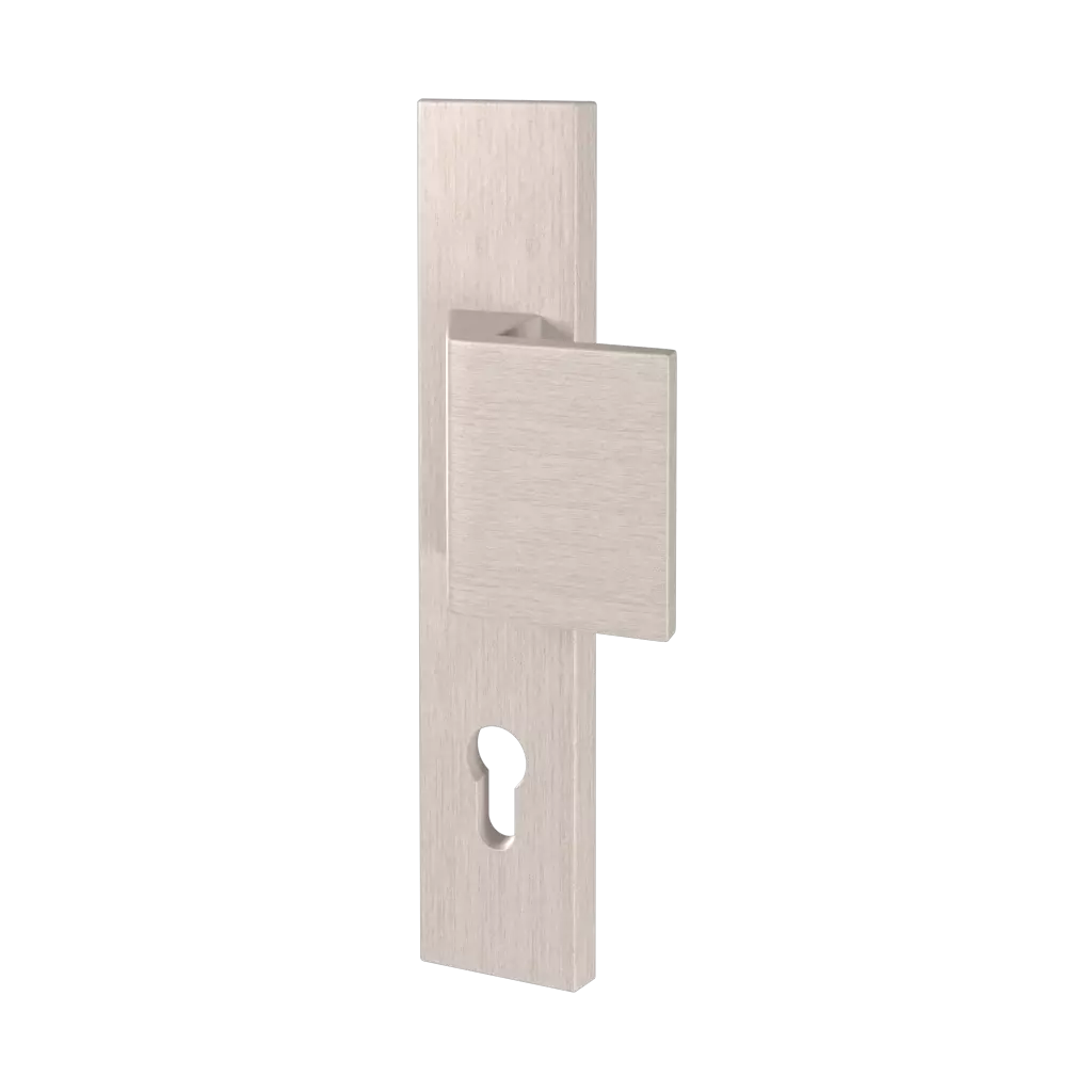 Magnus ✨ entry-doors opening-method handle-door-knob  