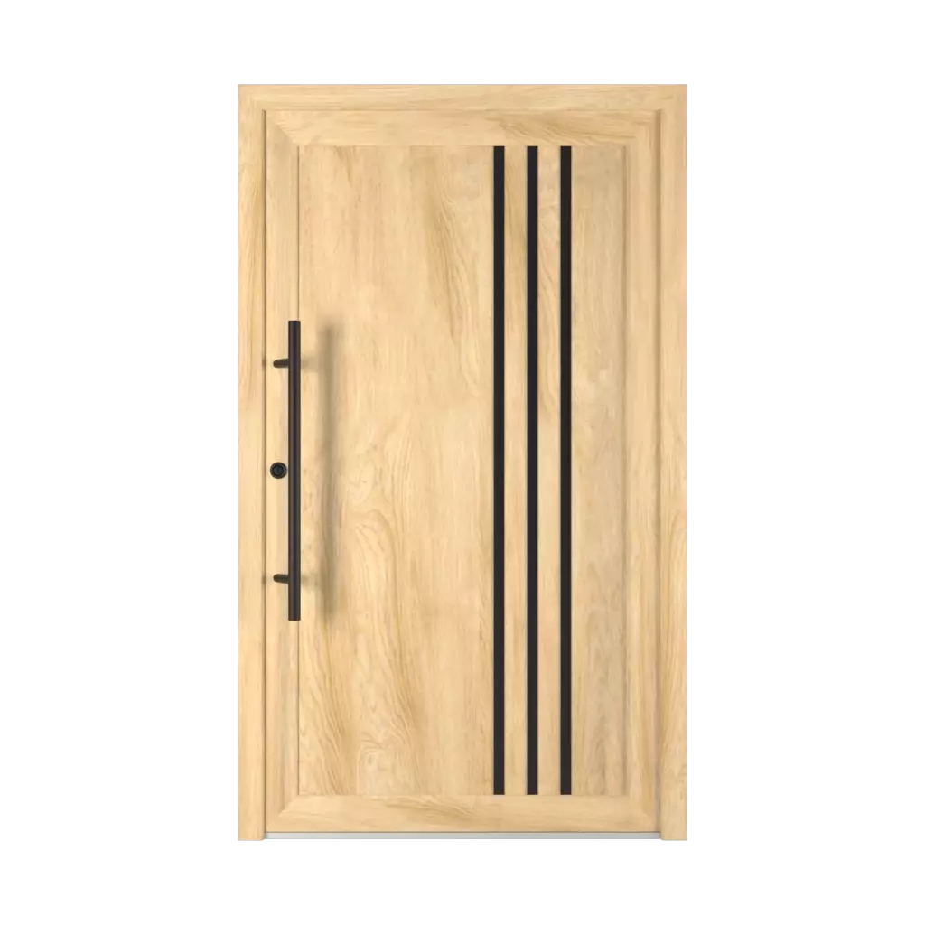 6029 PVC Black entry-doors models dindecor 6029-pvc-black  