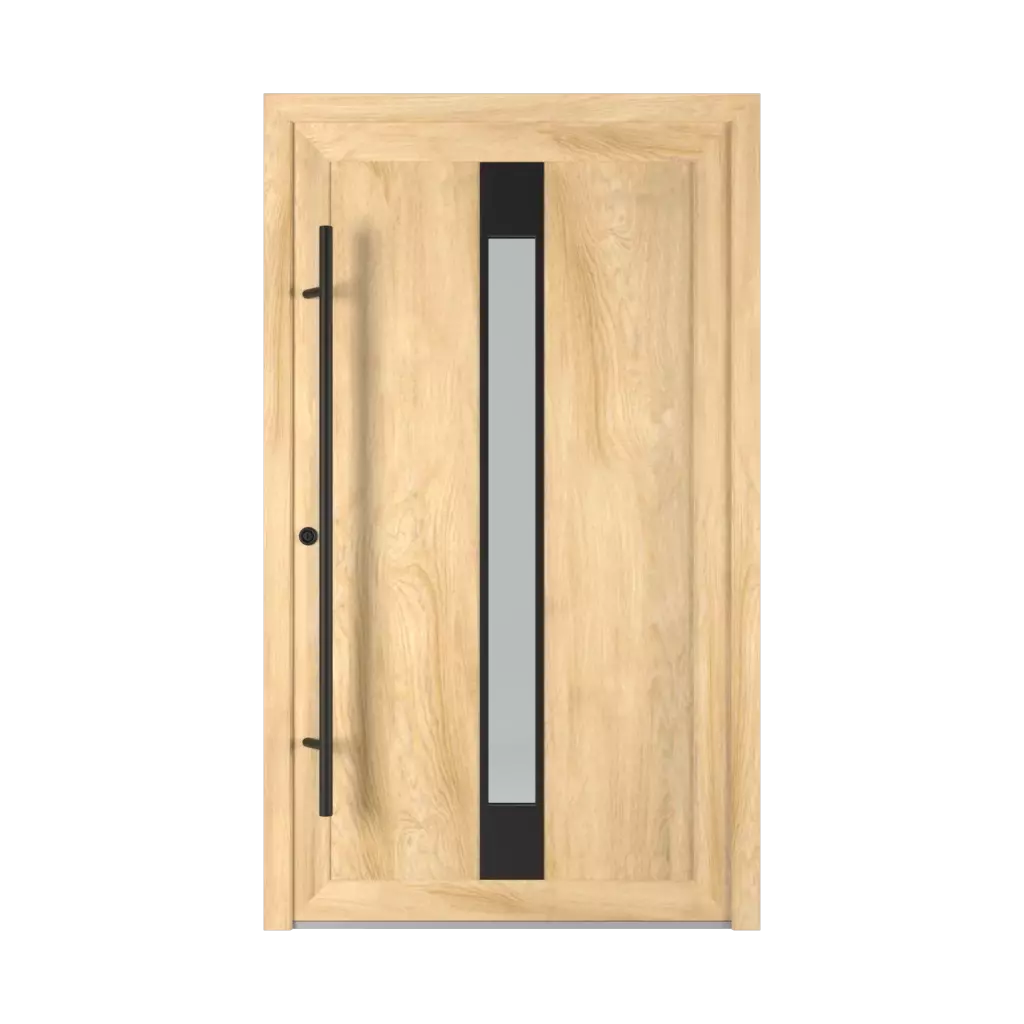 1401 PVC Black entry-doors models dindecor 