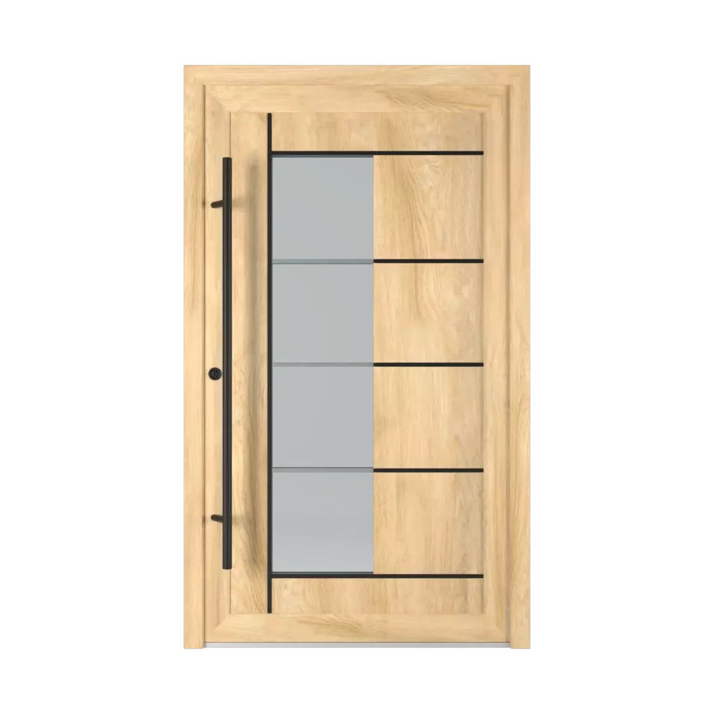 2802 PVC Black entry-doors models glazed 