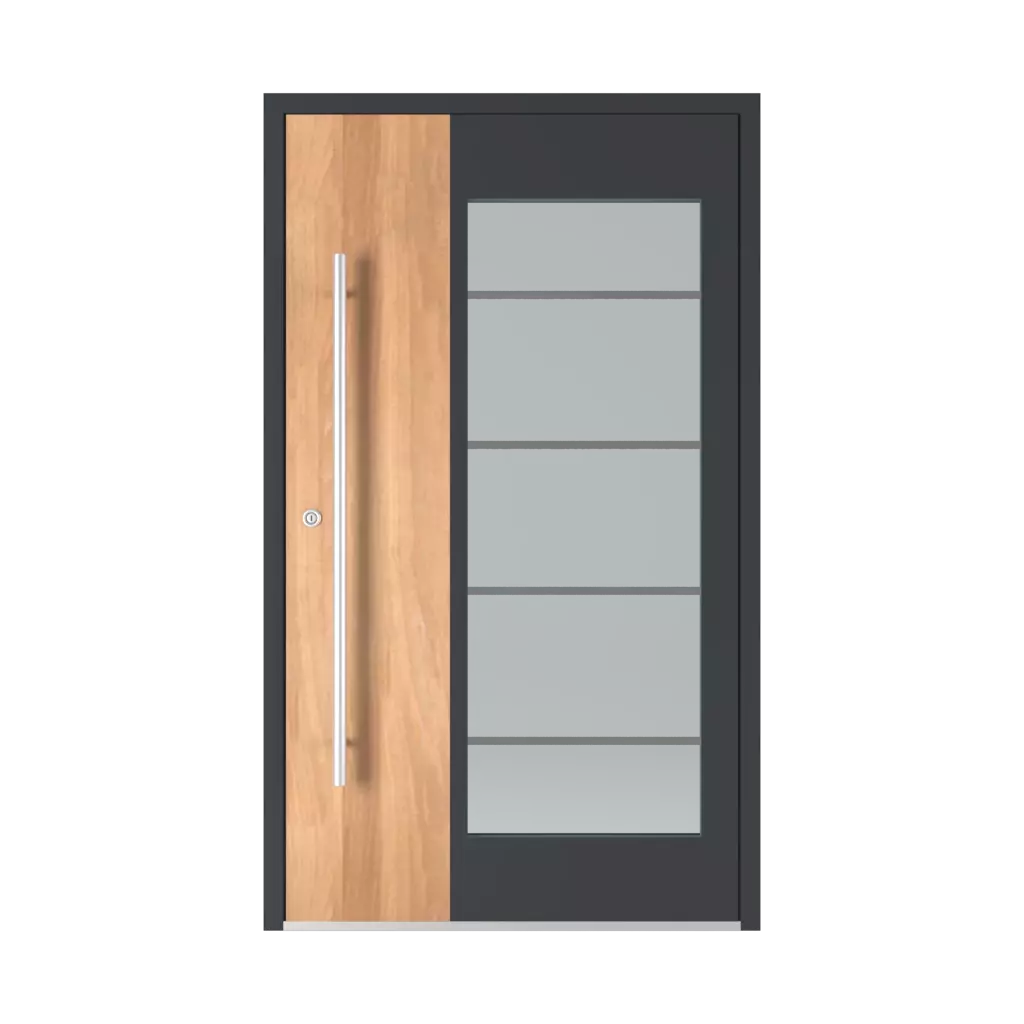 Model 6110 ✨ entry-doors door-colors ral-colors ral-6025-fern-green 
