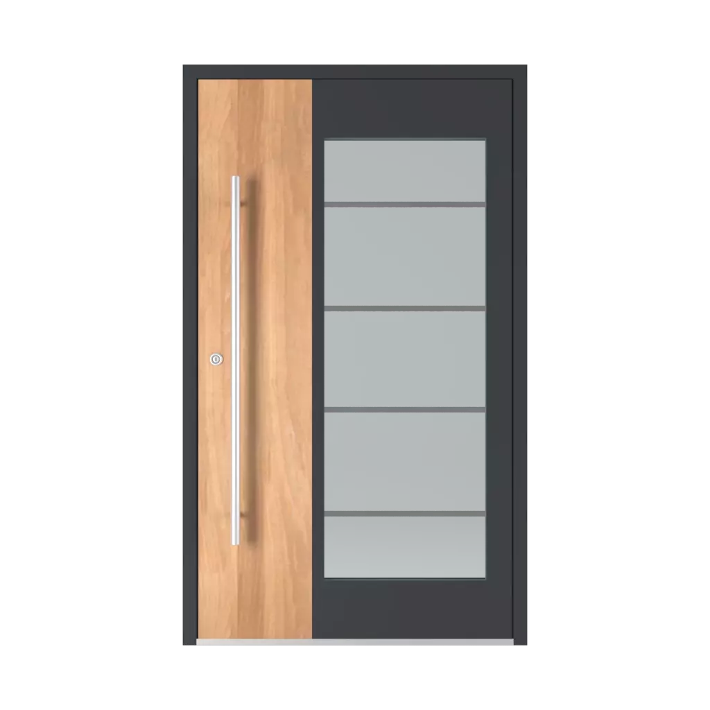 Model 6110 entry-doors models glazed 