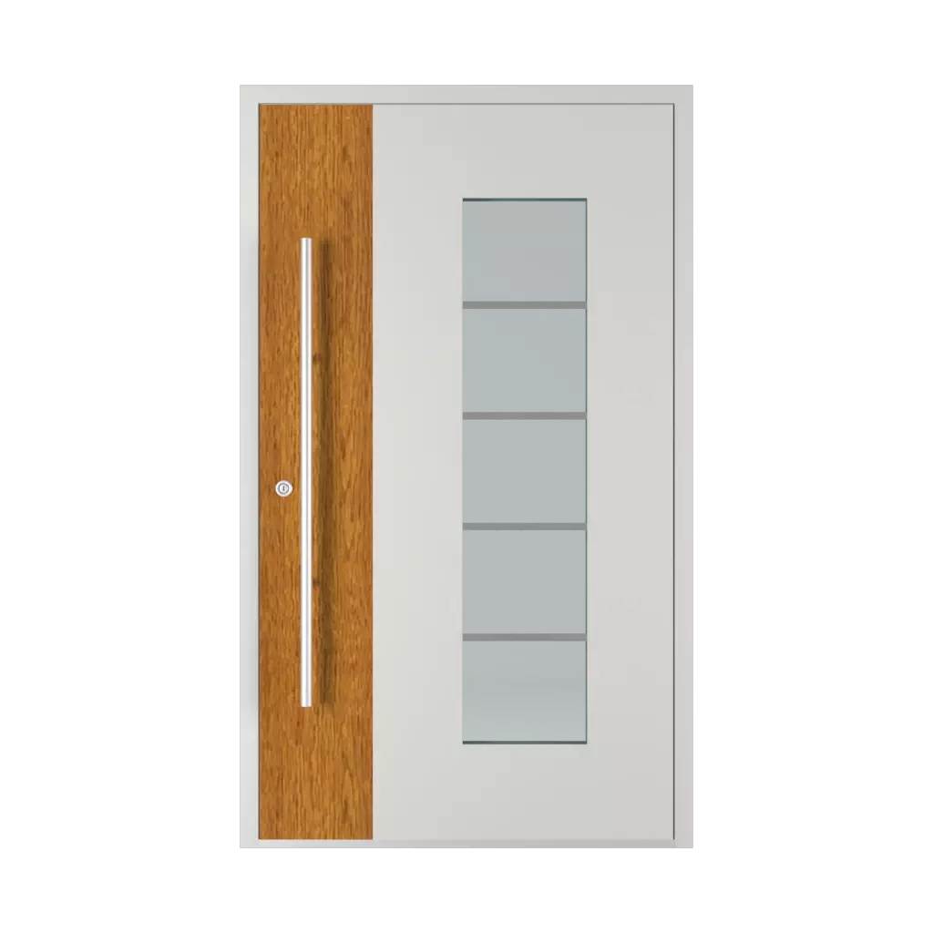 Model 6113 WD products entry-doors    