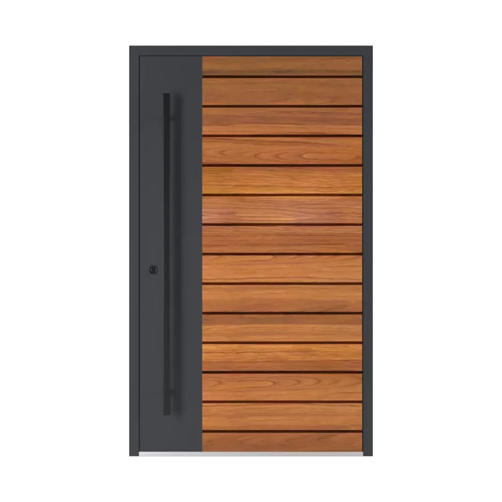 Model 6123 products entry-doors    