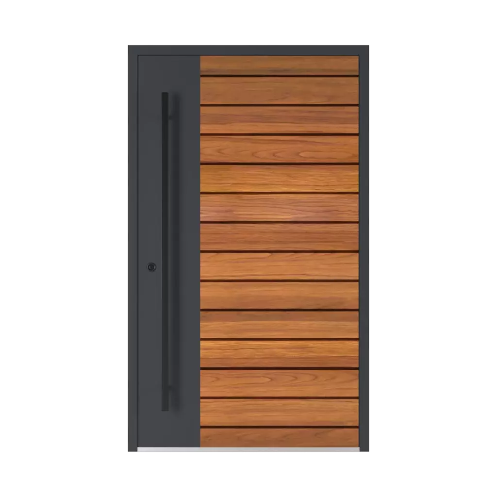 Model 6123 ✨ entry-doors door-colors ral-colors ral-4006-traffic-purple 