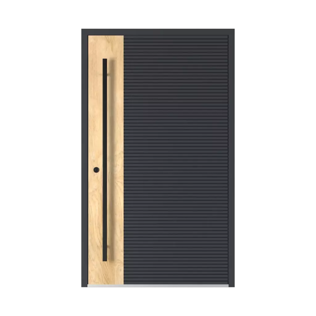 Model 6129 🆕 products entry-doors    