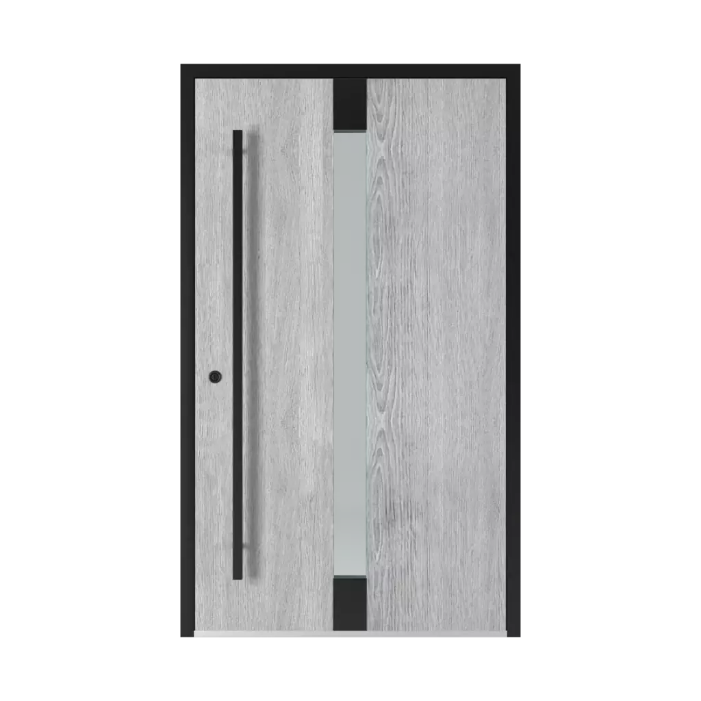 Model 1301 Black products entry-doors    