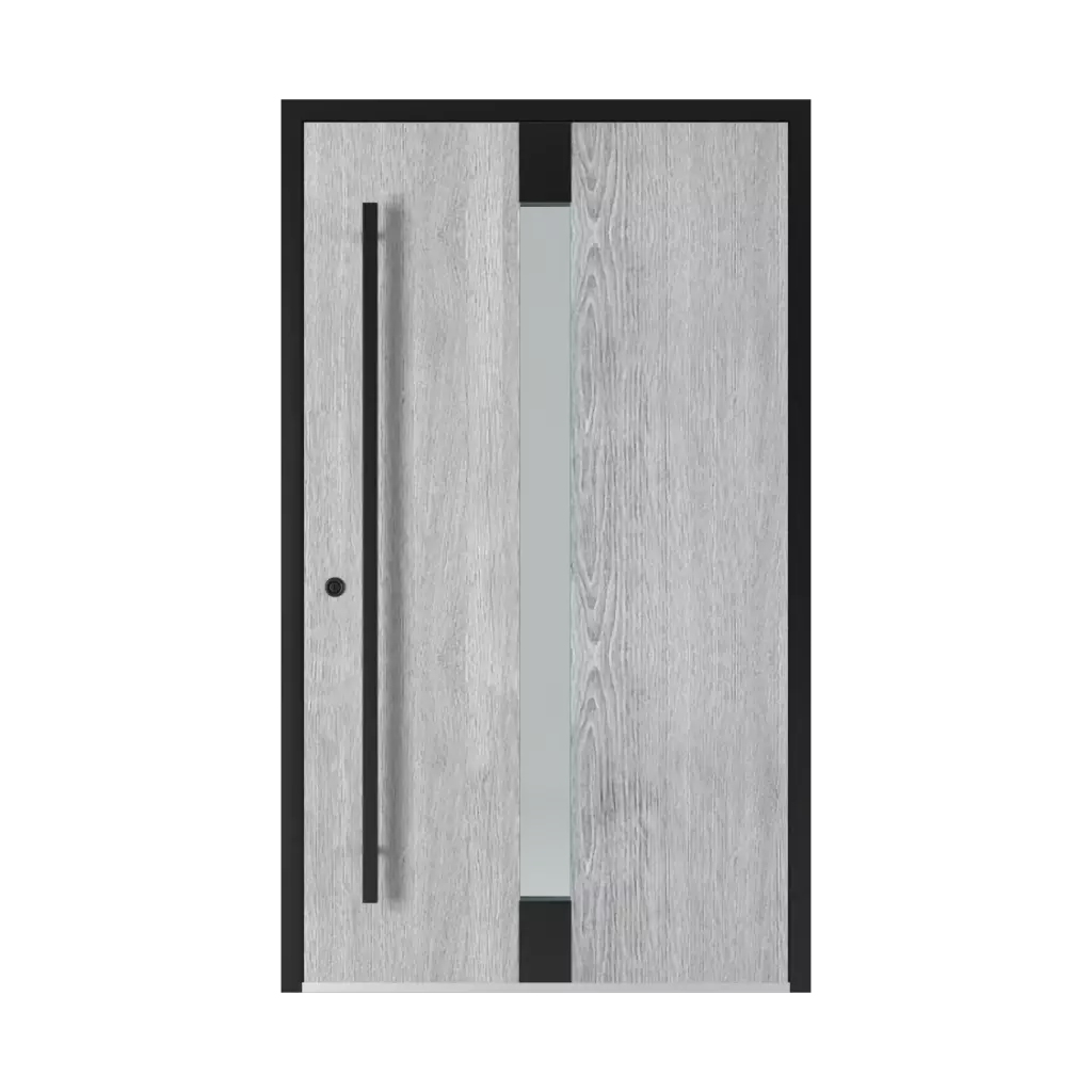 1301 Black entry-doors models glazed 