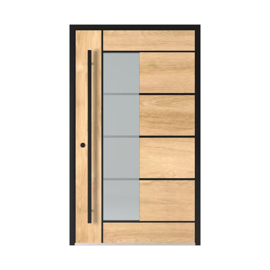 Model 2802 Black products entry-doors    