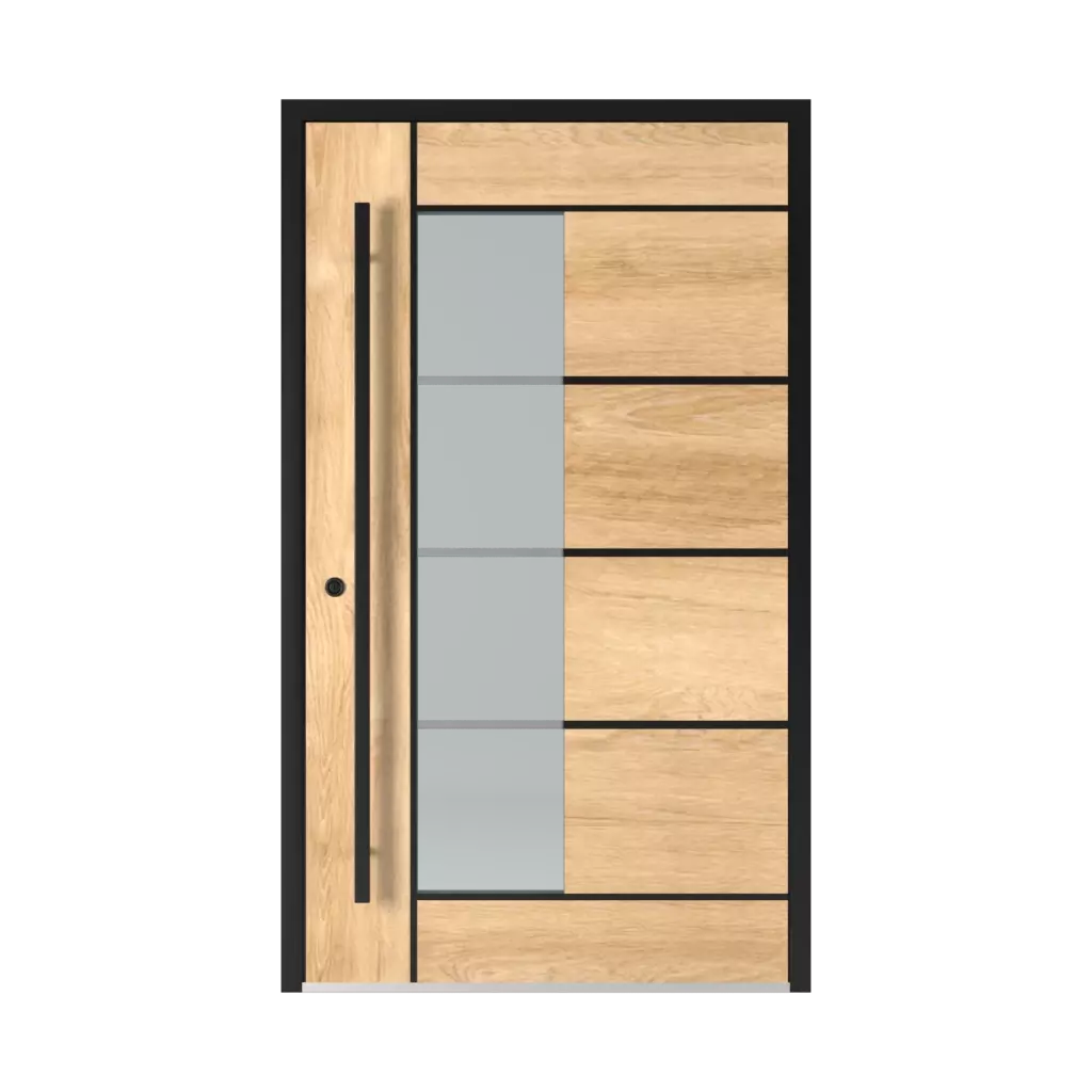 2802 Black entry-doors models dindecor 2802-black  