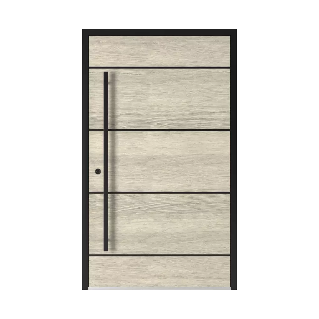 Model 5009 Black products entry-doors    
