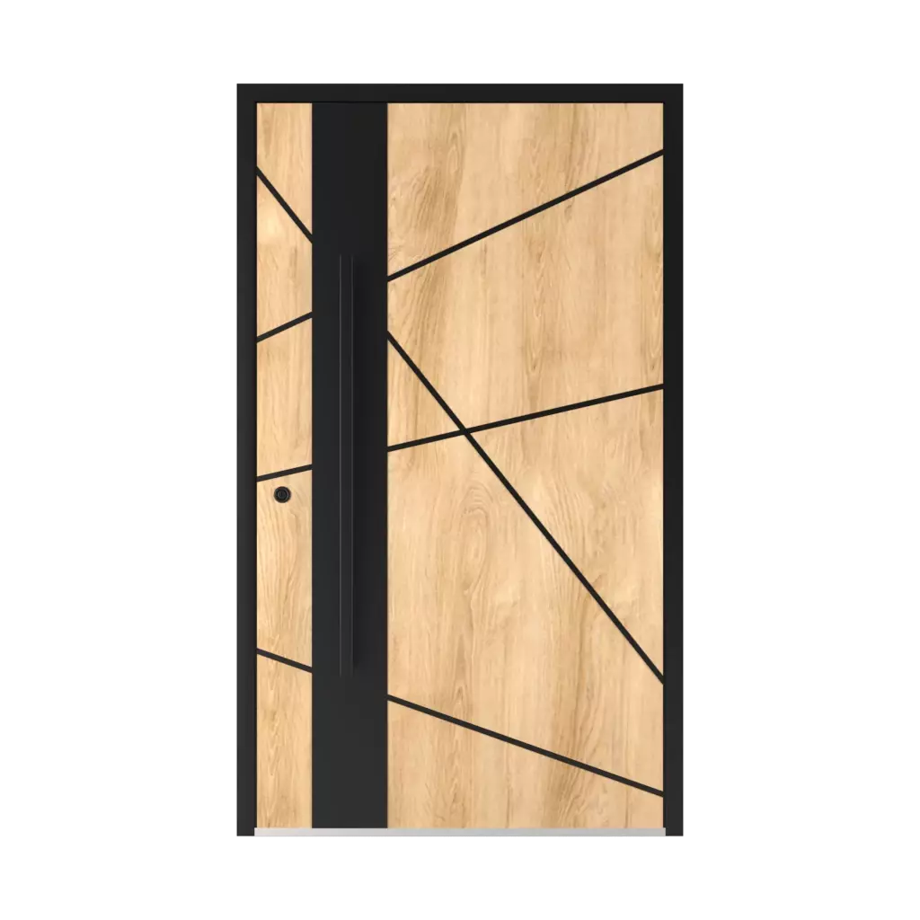 Model 6132 Black products entry-doors    