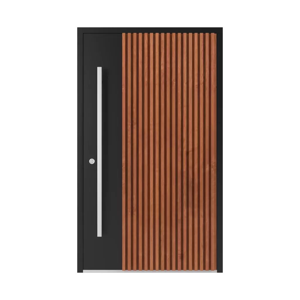Model LL 05 🏆 products aluminum-entry-doors    
