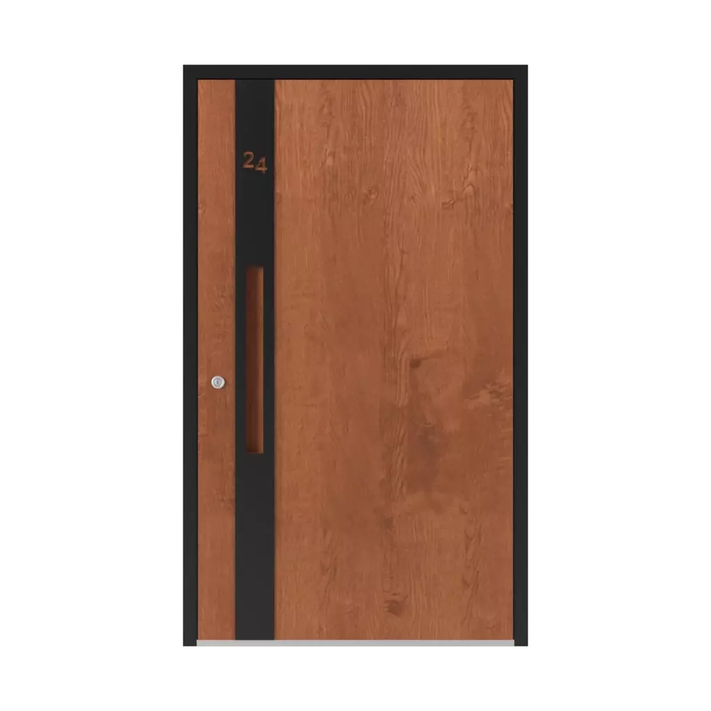 Model 6124 PWZ products entry-doors    