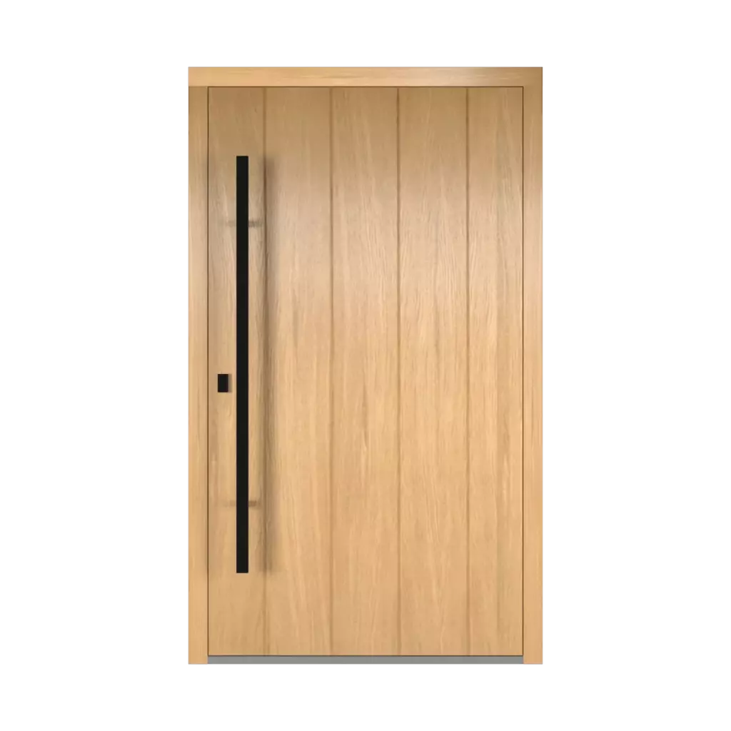 Dublin model products wooden-entry-doors    