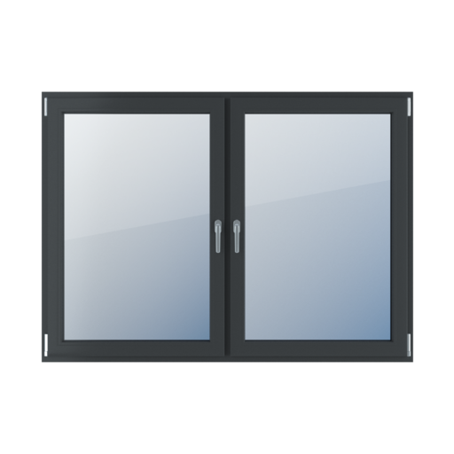 Double-leaf windows types-of-windows    