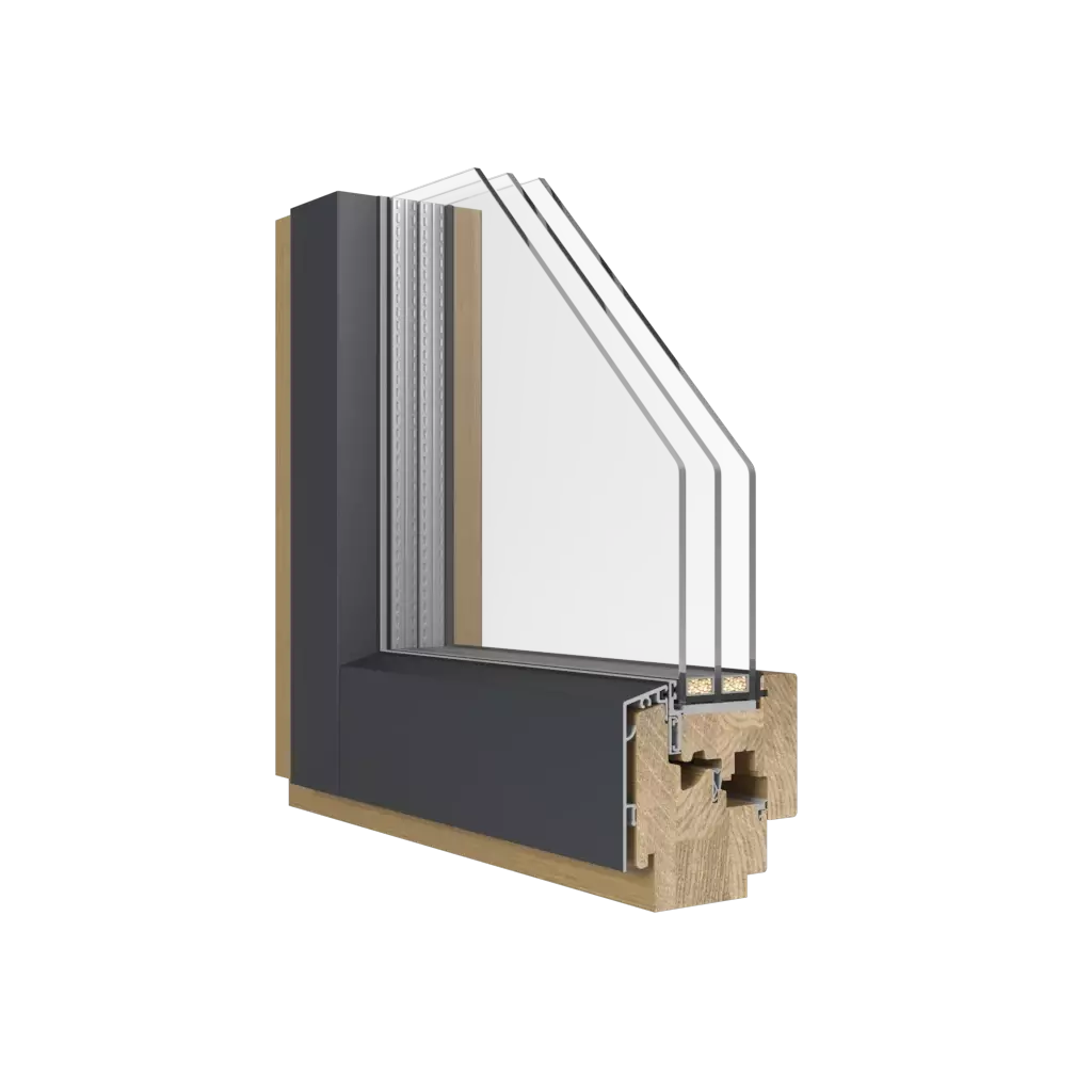 THERM-LIGHT-ALU 10 With aluminum overlay windows window-profiles cdm therm-light-alu-10