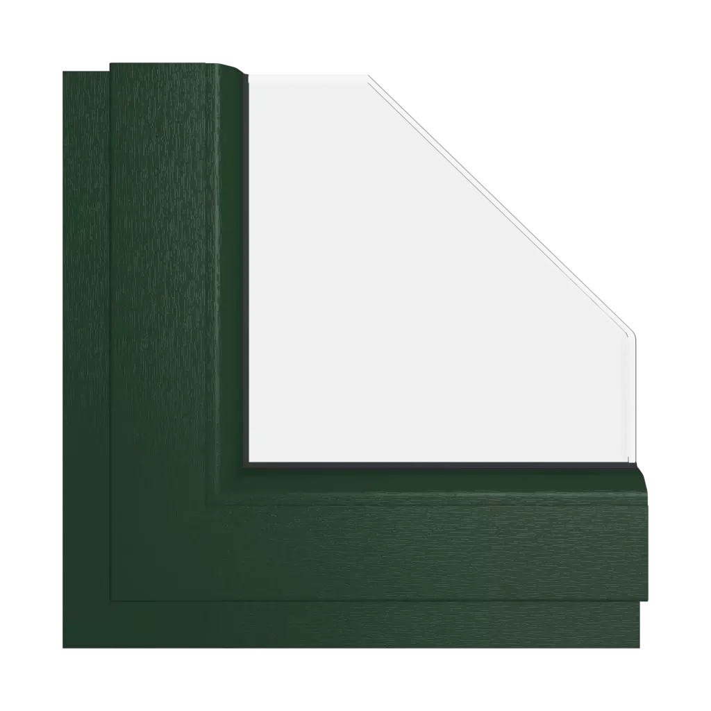 Dark green windows window-color veka-colors dark-green interior