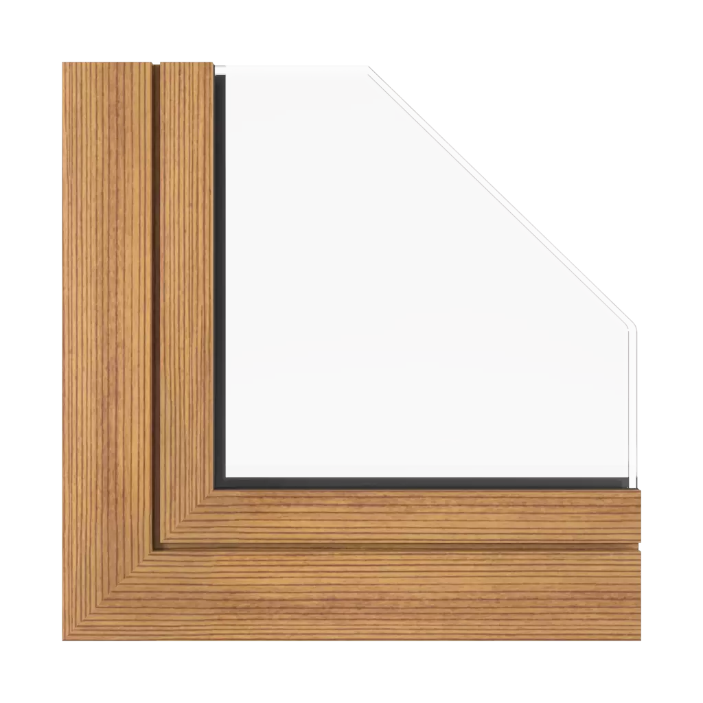 Dark fir windows window-profiles aluprof mb-sr50n-ei