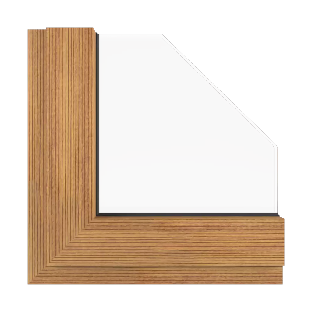 Dark fir windows window-color aluprof-colors dark-fir interior