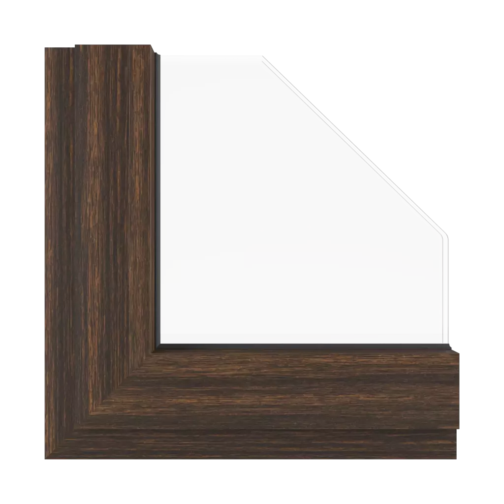 Ebony windows window-color aluprof-colors ebony interior