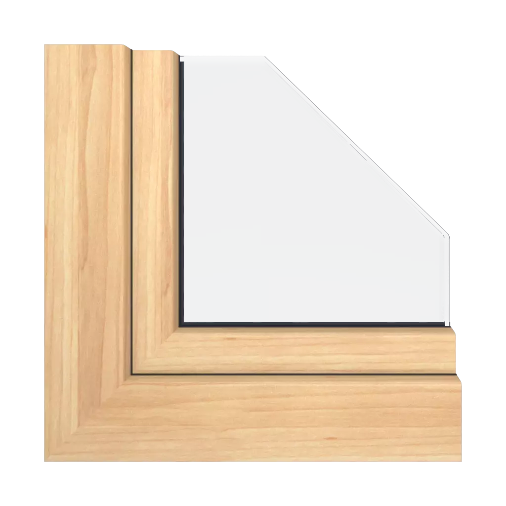 Birch products upvc-windows    