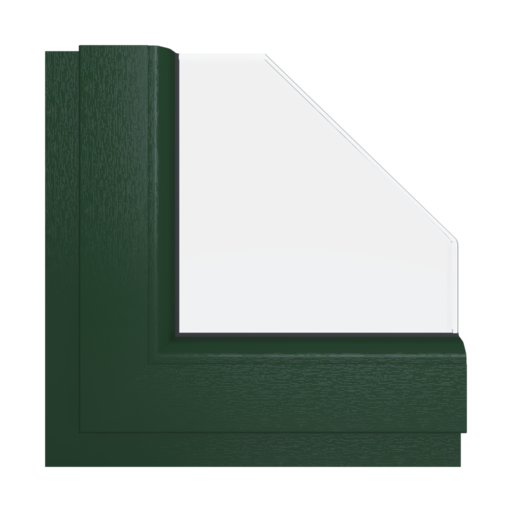 Dark green windows window-color aluplast-colors dark-green interior