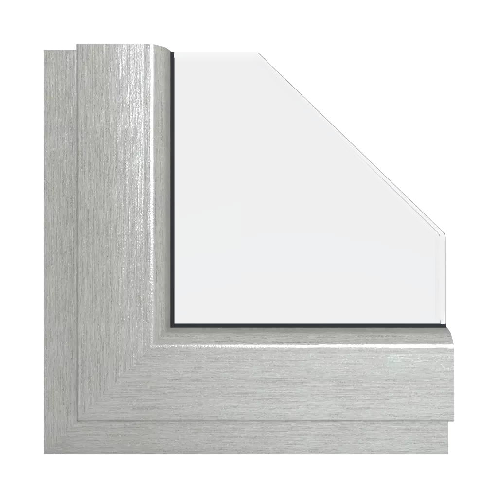 Brushed aluminum windows window-color aluplast-colors brushed-aluminum interior
