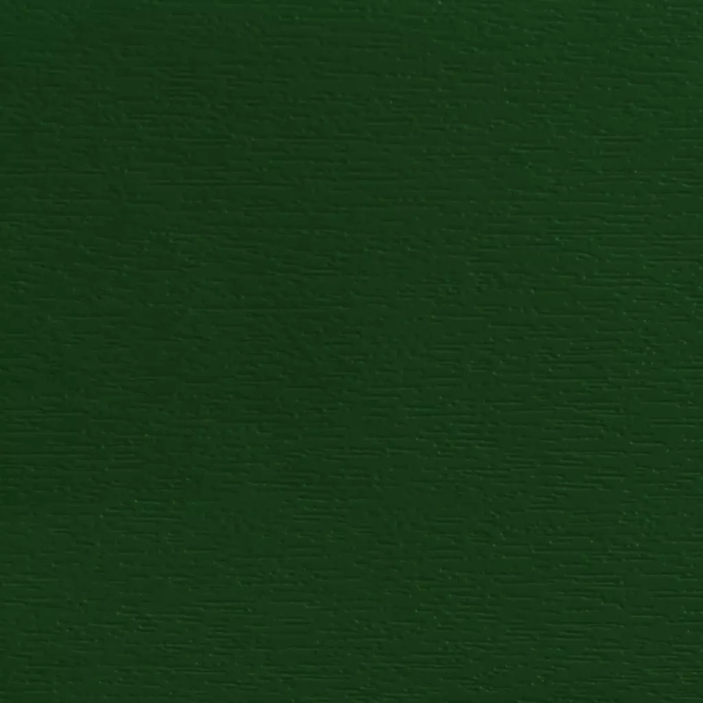 Dark green 03 windows window-color salamander-colors dark-green-03 texture