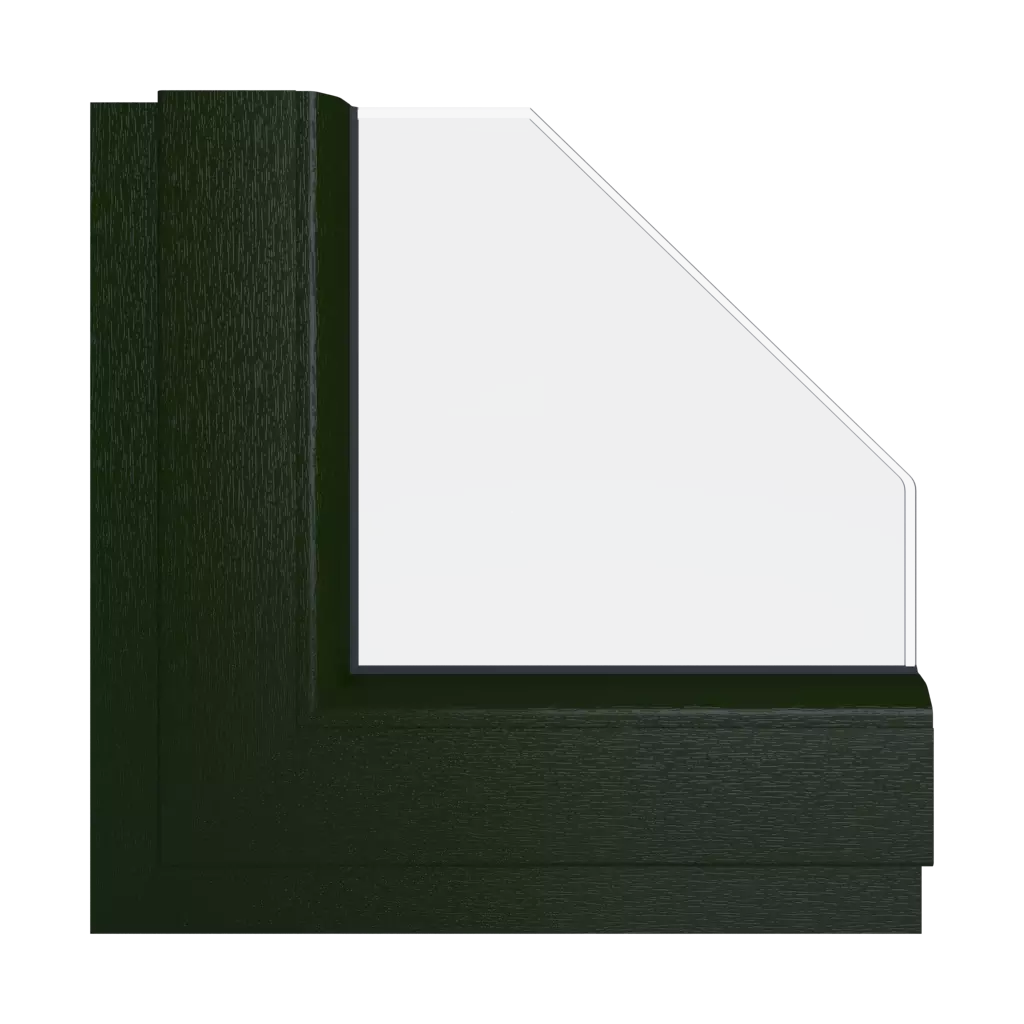 Dark green 5021 windows window-color decco-colors dark-green-5021 interior