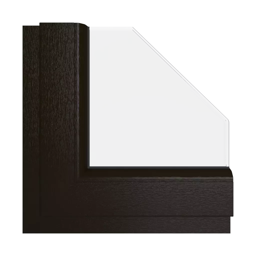 Black and brown windows window-color gealan-colors black-and-brown interior