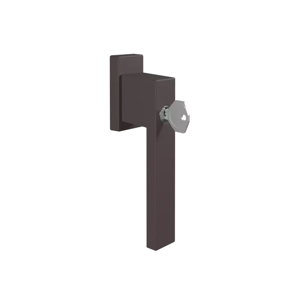 Door handle with a key Dublin brown windows window-color  