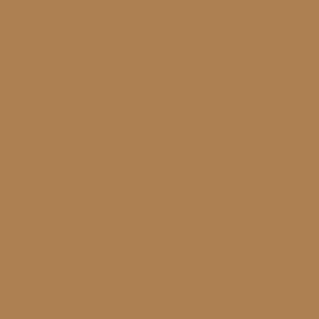 RAL 1011 Brown beige windows window-color aluminum-ral ral-1011-brown-beige texture
