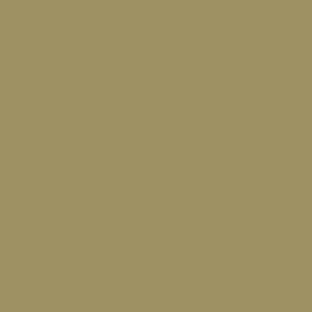 RAL 1020 Olive yellow windows window-color aluminum-ral ral-1020-olive-yellow texture