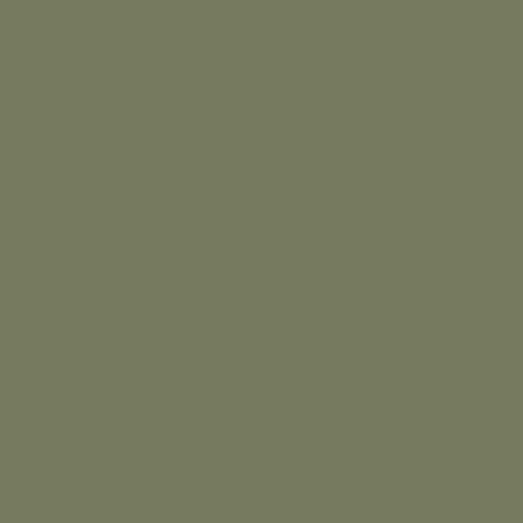 RAL 6013 Reed green windows window-color aluminum-ral ral-6013-reed-green texture