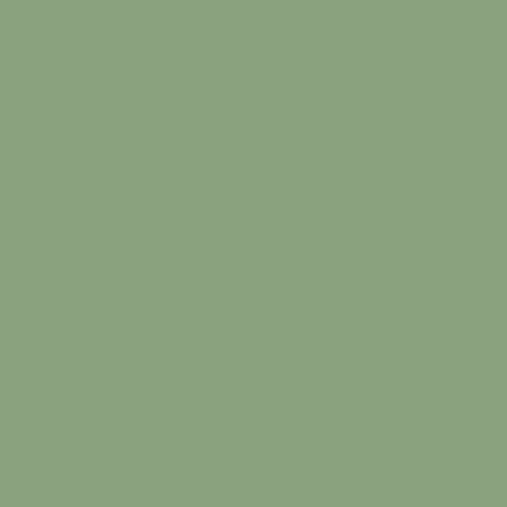 RAL 6021 Pale green windows window-color aluminum-ral ral-6021-pale-green texture